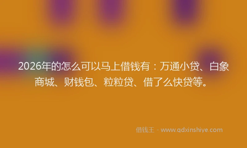 2026年的怎么可以马上借钱有：万通小贷、白象商城、财钱包、粒粒贷、借了么快贷等。