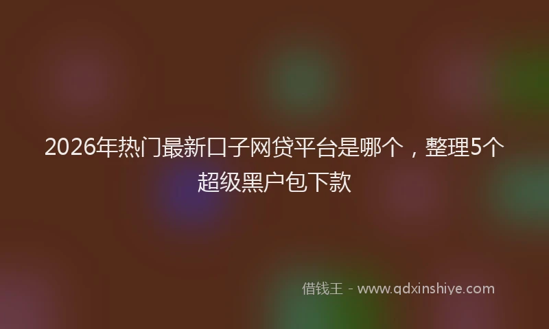 2026年热门最新口子网贷平台是哪个,整理5个超级黑户包下款