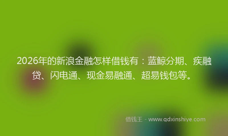 2026年的新浪金融怎样借钱有：蓝鲸分期、疾融贷、闪电通、现金易融通、超易钱包等。