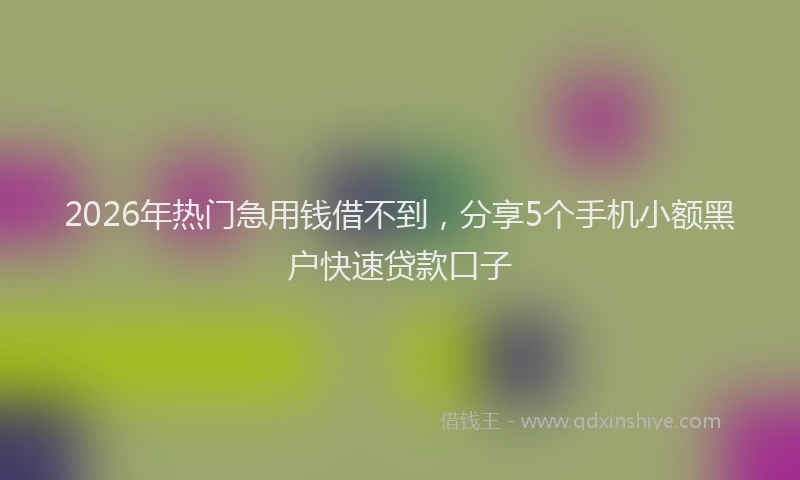 2026年热门急用钱借不到，分享5个手机小额黑户快速贷款口子