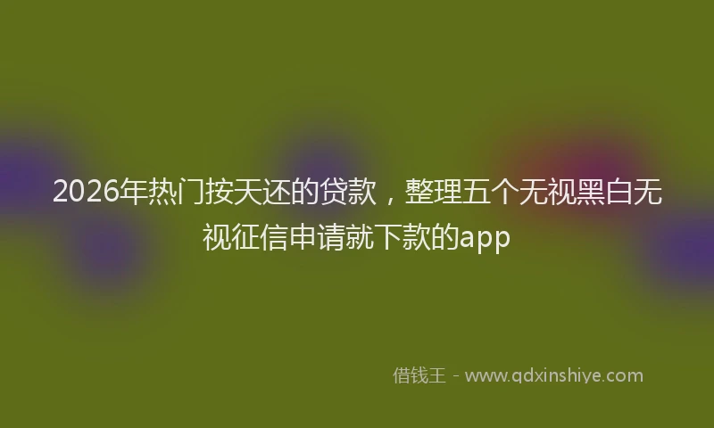 2026年热门按天还的贷款，整理五个无视黑白无视征信申请就下款的app