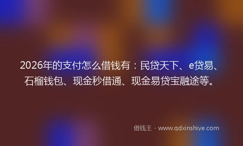 2026年的支付怎么借钱有:民贷天下、e贷易、石榴钱包、现金秒借通、现金易贷宝融途等。