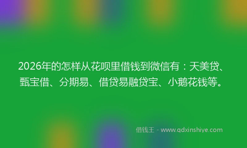 2026年的怎样从花呗里借钱到微信有:天美贷、甄宝借、分期易、借贷易融贷宝、小鹅花钱等。