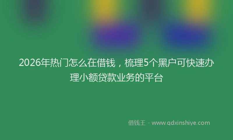 2026年热门怎么在借钱，梳理5个黑户可快速办理小额贷款业务的平台