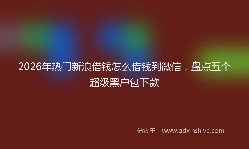 2026年热门新浪借钱怎么借钱到微信，盘点五个超级黑户包下款