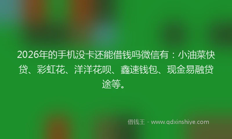 2026年的手机没卡还能借钱吗微信有：小油菜快贷、彩虹花、洋洋花呗、鑫速钱包、现金易融贷途等。