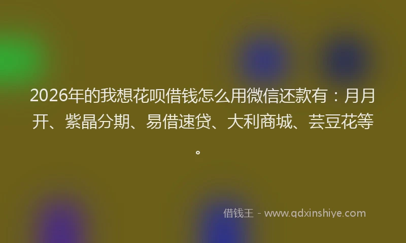 2026年的我想花呗借钱怎么用微信还款有：月月开、紫晶分期、易借速贷、大利商城、芸豆花等。