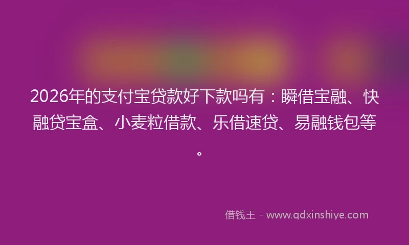 2026年的支付宝贷款好下款吗有：瞬借宝融、快融贷宝盒、小麦粒借款、乐借速贷、易融钱包等。