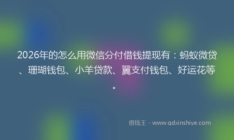 2026年的怎么用微信分付借钱提现有：蚂蚁微贷、珊瑚钱包、小羊贷款、翼支付钱包、好运花等。