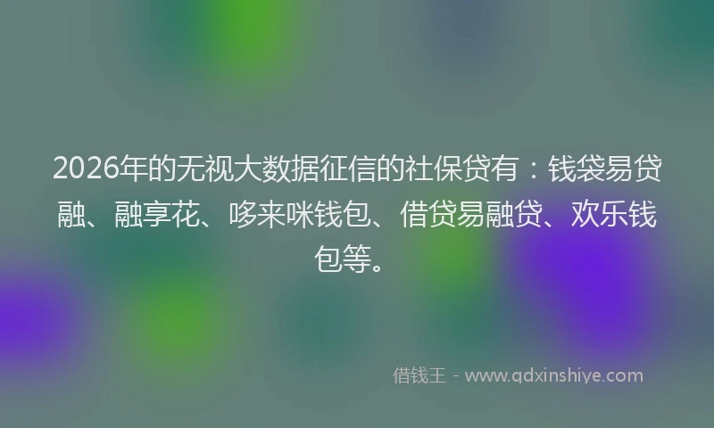 2026年的无视大数据征信的社保贷有:钱袋易贷融、融享花、哆来咪钱包、借贷易融贷、欢乐钱包等。