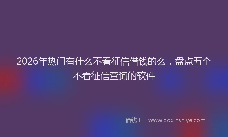 2026年热门有什么不看征信借钱的么，盘点五个不看征信查询的软件