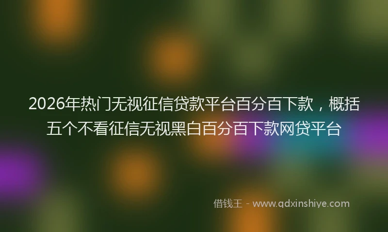 2026年热门无视征信贷款平台百分百下款，概括五个不看征信无视黑白百分百下款网贷平台
