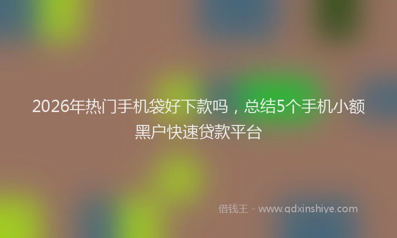 2026年热门手机袋好下款吗，总结5个手机小额黑户快速贷款平台