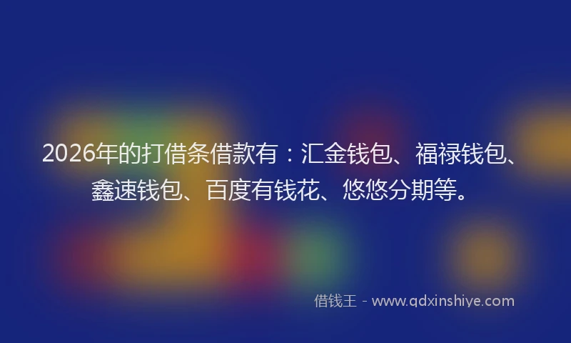 2026年的打借条借款有：汇金钱包、福禄钱包、鑫速钱包、百度有钱花、悠悠分期等。