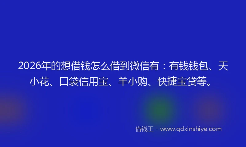 2026年的想借钱怎么借到微信有：有钱钱包、天小花、口袋信用宝、羊小购、快捷宝贷等。