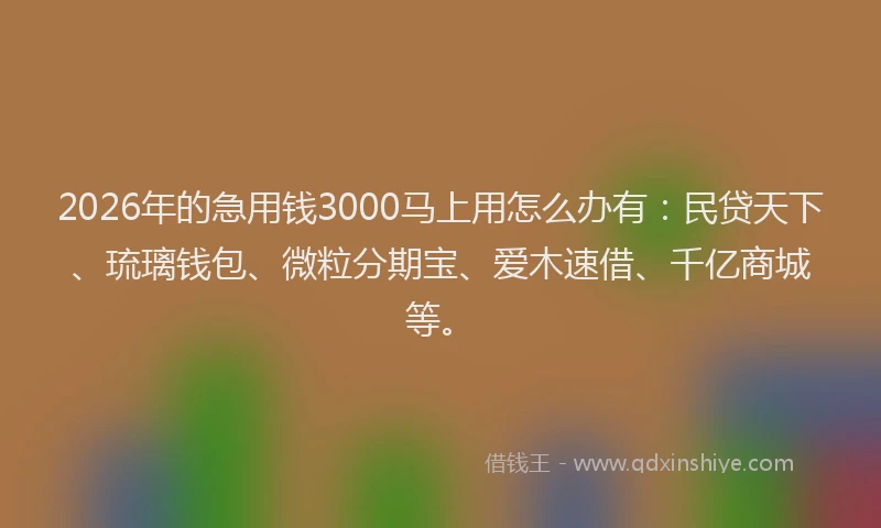 2026年的急用钱3000马上用怎么办有：民贷天下、琉璃钱包、微粒分期宝、爱木速借、千亿商城等。
