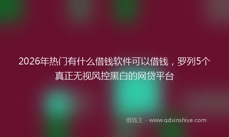 2026年热门有什么借钱软件可以借钱，罗列5个真正无视风控黑白的网贷平台