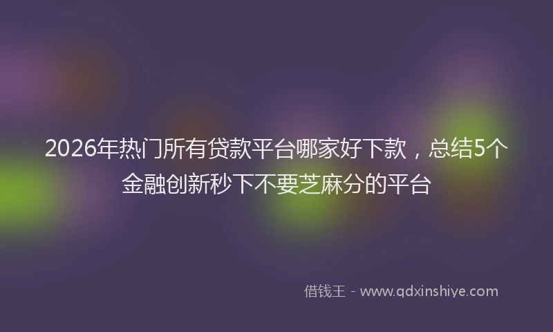 2026年热门所有贷款平台哪家好下款，总结5个金融创新秒下不要芝麻分的平台