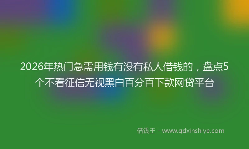 2026年热门急需用钱有没有私人借钱的，盘点5个不看征信无视黑白百分百下款网贷平台