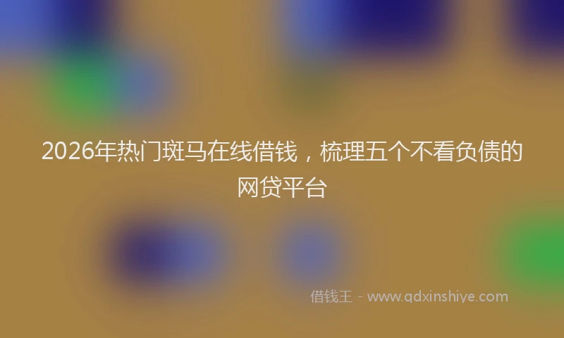 2026年热门斑马在线借钱，梳理五个不看负债的网贷平台