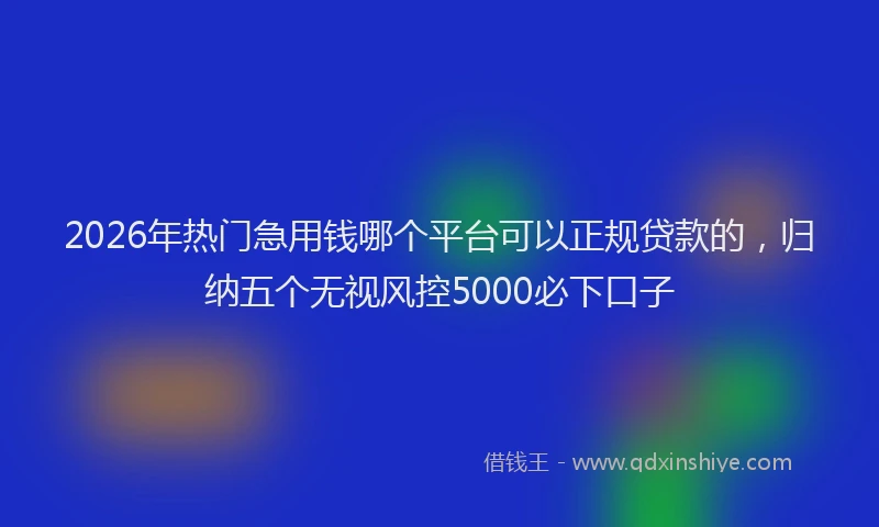 2026年热门急用钱哪个平台可以正规贷款的，归纳五个无视风控5000必下口子