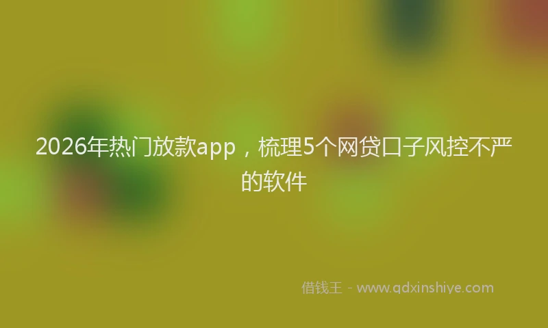 2026年热门放款app，梳理5个网贷口子风控不严的软件