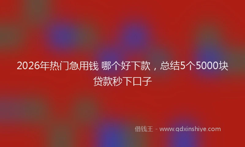 2026年热门急用钱 哪个好下款，总结5个5000块贷款秒下口子