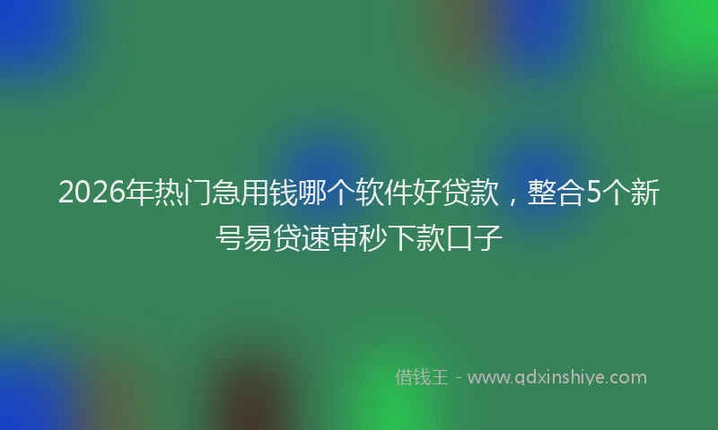 2026年热门急用钱哪个软件好贷款，整合5个新号易贷速审秒下款口子