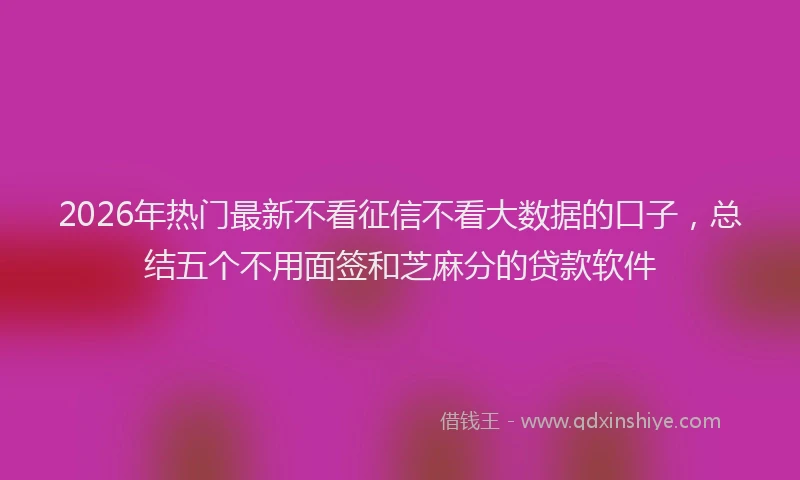 2026年热门最新不看征信不看大数据的口子，总结五个不用面签和芝麻分的贷款软件