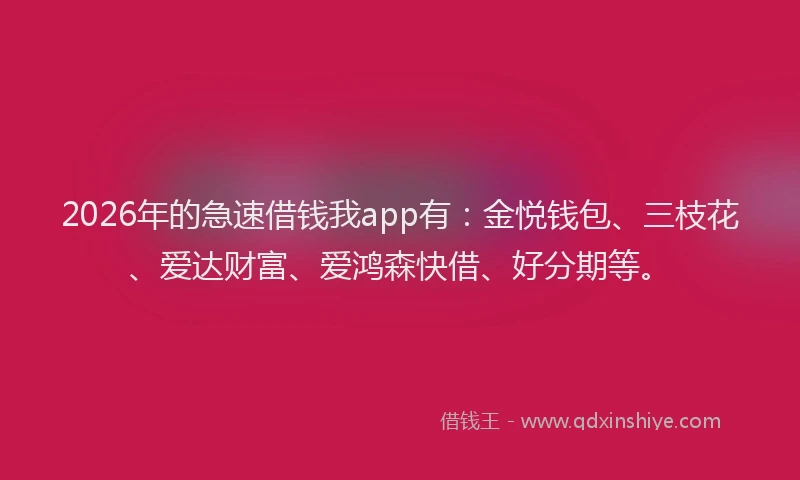 2026年的急速借钱我app有：金悦钱包、三枝花、爱达财富、爱鸿森快借、好分期等。