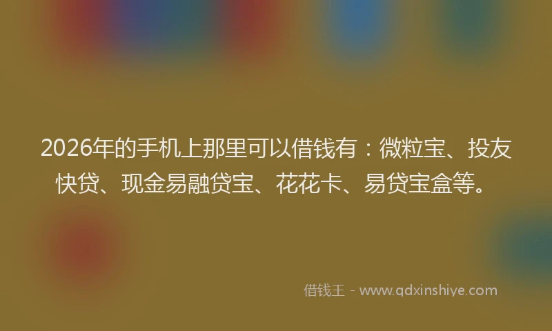 2026年的手机上那里可以借钱有：微粒宝、投友快贷、现金易融贷宝、花花卡、易贷宝盒等。
