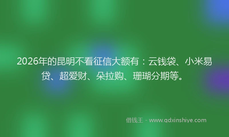 2026年的昆明不看征信大额有：云钱袋、小米易贷、超爱财、朵拉购、珊瑚分期等。