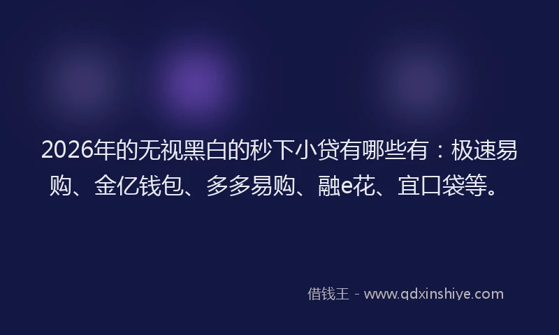 2026年的无视黑白的秒下小贷有哪些有：极速易购、金亿钱包、多多易购、融e花、宜口袋等。