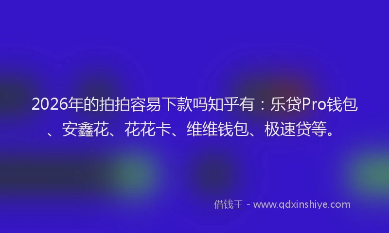 2026年的拍拍容易下款吗知乎有:乐贷Pro钱包、安鑫花、花花卡、维维钱包、极速贷等。