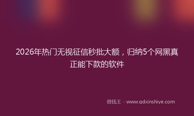 2026年热门无视征信秒批大额，归纳5个网黑真正能下款的软件