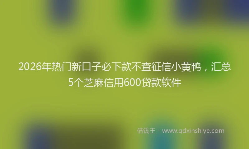 2026年热门新口子必下款不查征信小黄鸭，汇总5个芝麻信用600贷款软件
