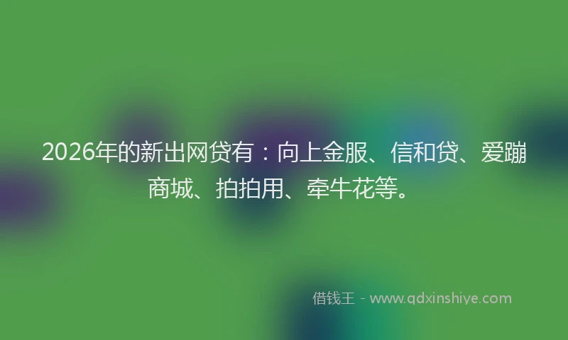 2026年的新出网贷有：向上金服、信和贷、爱蹦商城、拍拍用、牵牛花等。