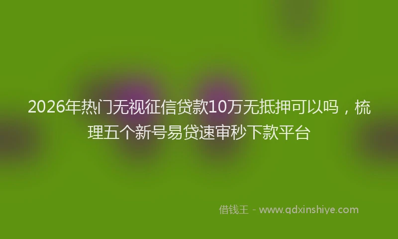 2026年热门无视征信贷款10万无抵押可以吗，梳理五个新号易贷速审秒下款平台