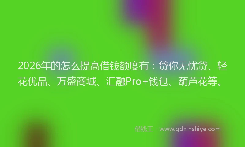 2026年的怎么提高借钱额度有：贷你无忧贷、轻花优品、万盛商城、汇融Pro+钱包、葫芦花等。