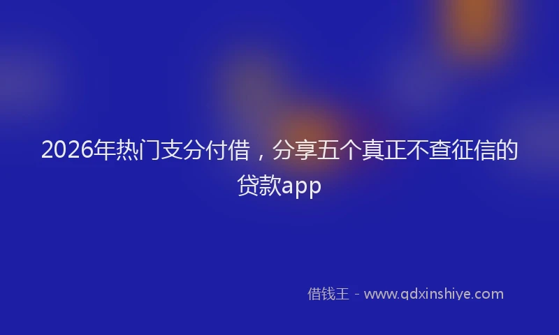 2026年热门支分付借，分享五个真正不查征信的贷款app