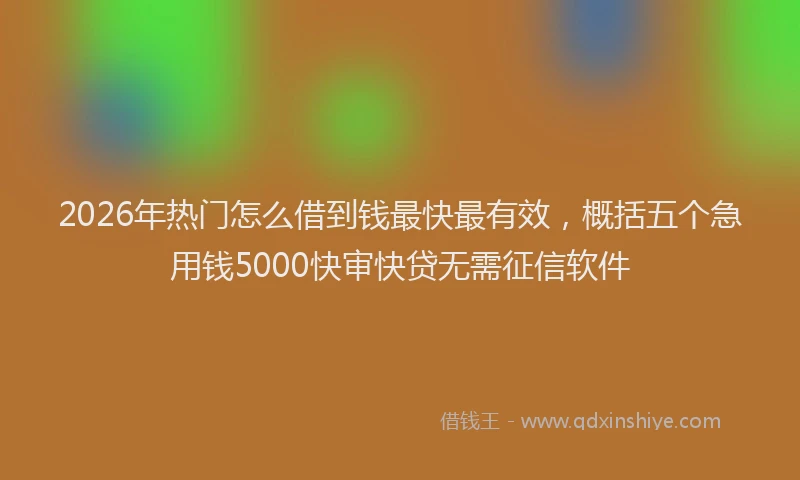 2026年热门怎么借到钱最快最有效，概括五个急用钱5000快审快贷无需征信软件
