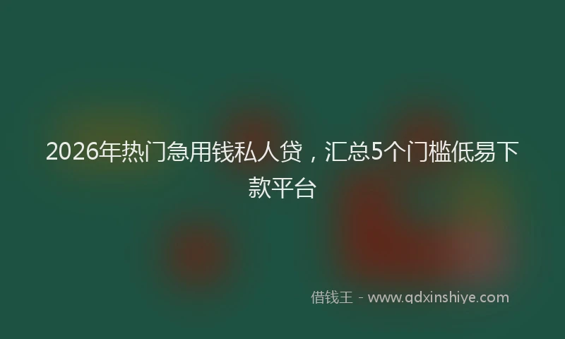 2026年热门急用钱私人贷，汇总5个门槛低易下款平台