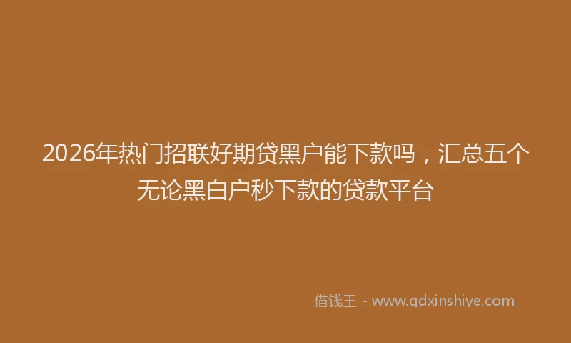 2026年热门招联好期贷黑户能下款吗，汇总五个无论黑白户秒下款的贷款平台