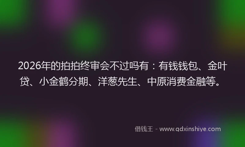 2026年的拍拍终审会不过吗有：有钱钱包、金叶贷、小金鹤分期、洋葱先生、中原消费金融等。