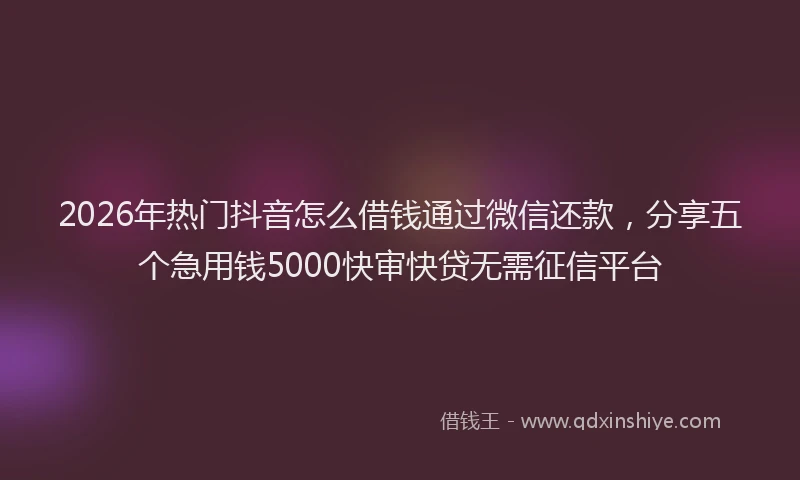 2026年热门抖音怎么借钱通过微信还款，分享五个急用钱5000快审快贷无需征信平台