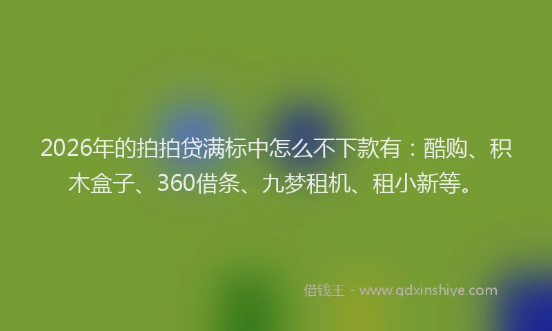 2026年的拍拍贷满标中怎么不下款有：酷购、积木盒子、360借条、九梦租机、租小新等。