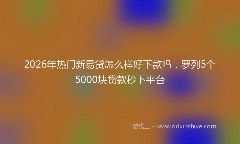 2026年热门新易贷怎么样好下款吗，罗列5个5000块贷款秒下平台