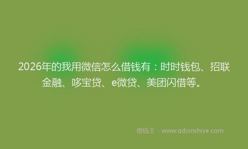 2026年的我用微信怎么借钱有：时时钱包、招联金融、哆宝贷、e微贷、美团闪借等。