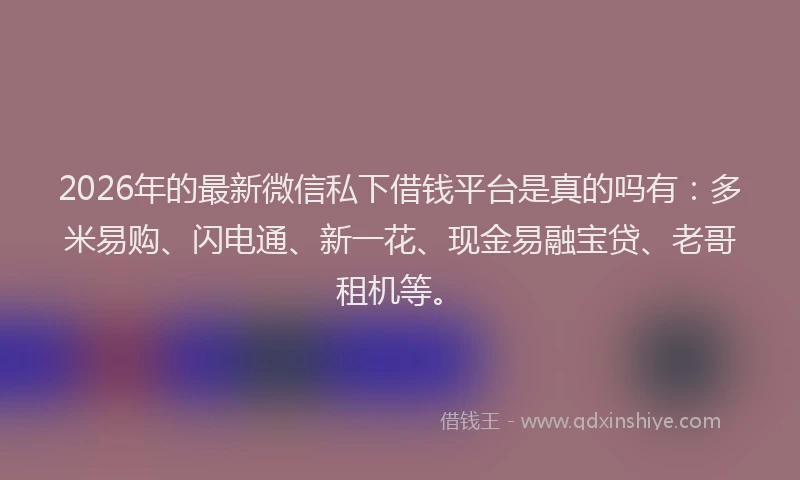 2026年的最新微信私下借钱平台是真的吗有：多米易购、闪电通、新一花、现金易融宝贷、老哥租机等。