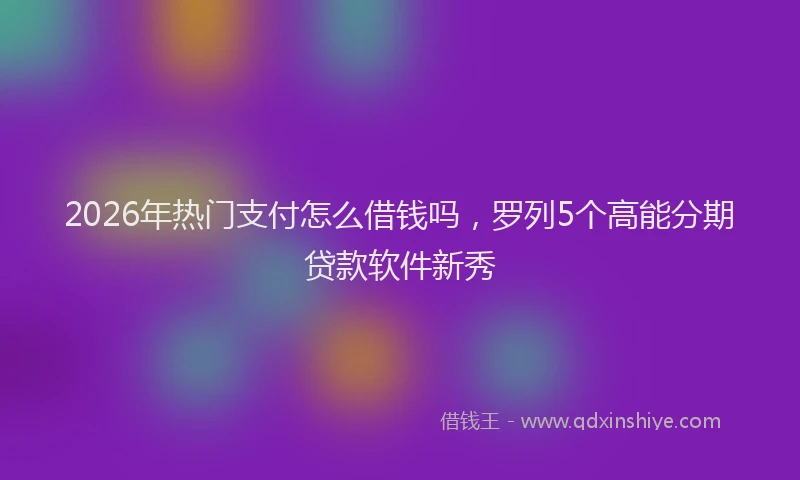 2026年热门支付怎么借钱吗，罗列5个高能分期贷款软件新秀